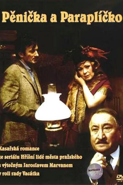 Burglar and Umbrella