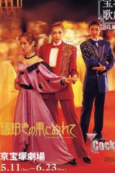 In the Amber-Hued Rain