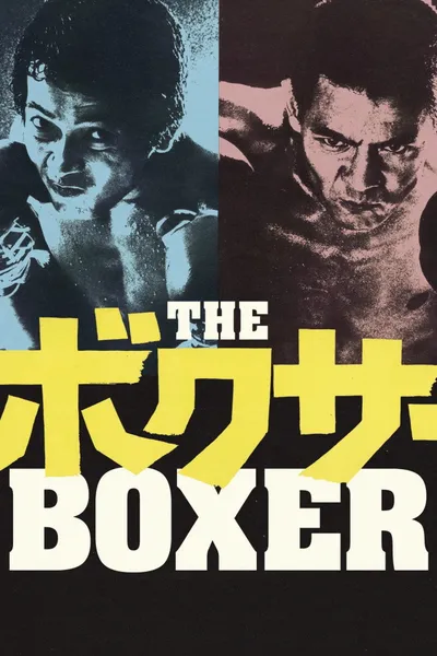 The Boxer