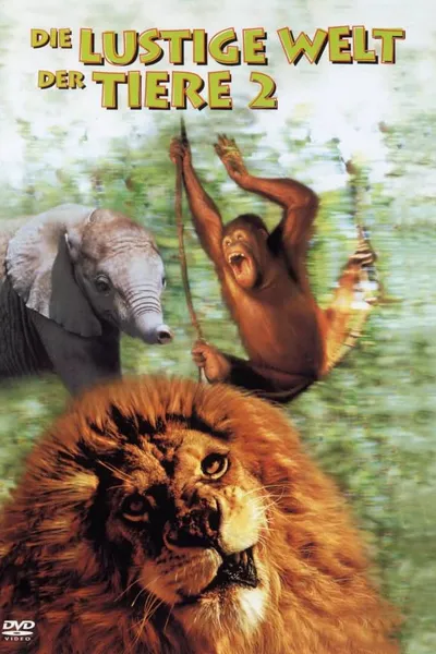 The Funny World of Animals 2