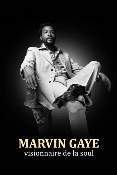 Marvin Gaye - Visionär des Soul