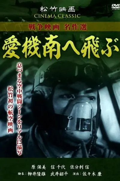 Our Planes Fly South