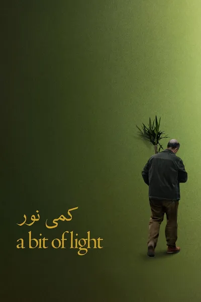 A Bit of Light