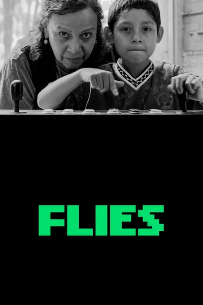 Flies