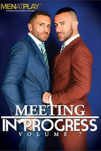 Meeting in Progress 7