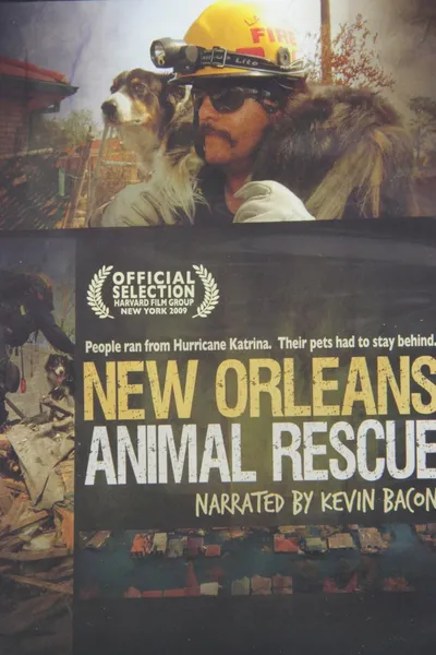 New Orleans Animal Rescue
