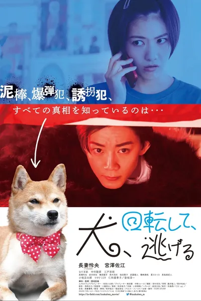 Dog Turns and Runs Away