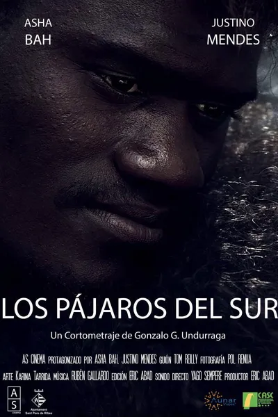 Los Pájaros del Sur