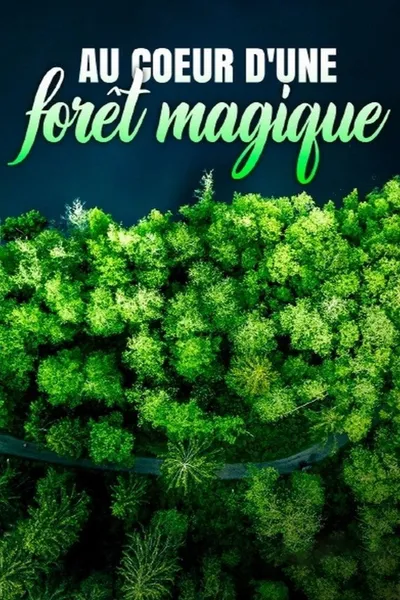 Au cœur d'une forêt magique