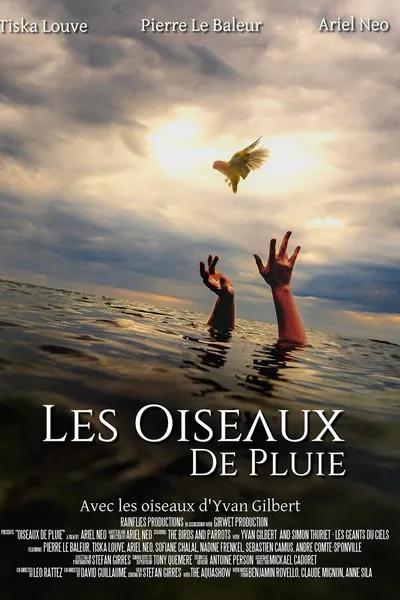 Les Oiseaux de pluie