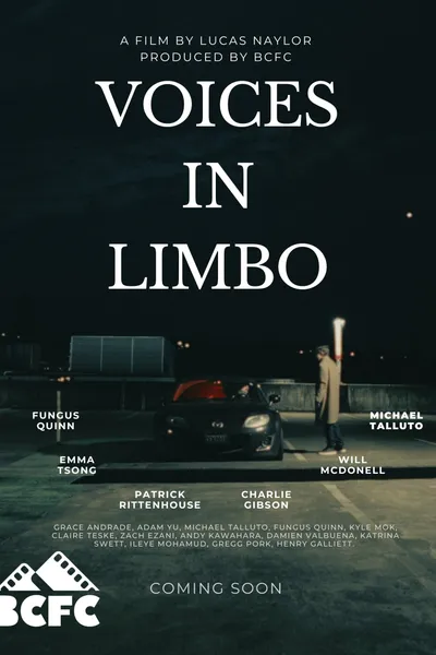 Voices In Limbo