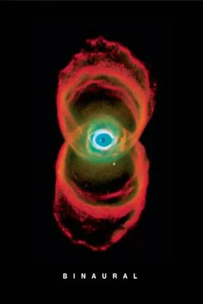 Pearl Jam: Binaural