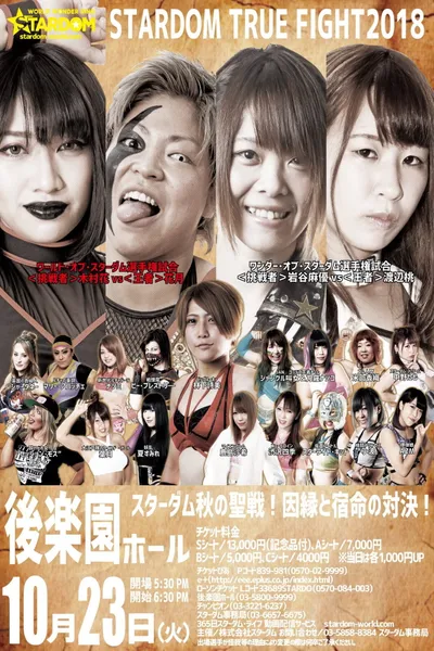 Stardom True Fight 2018