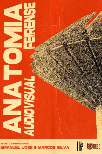Anatomia Audiovisual Feirense
