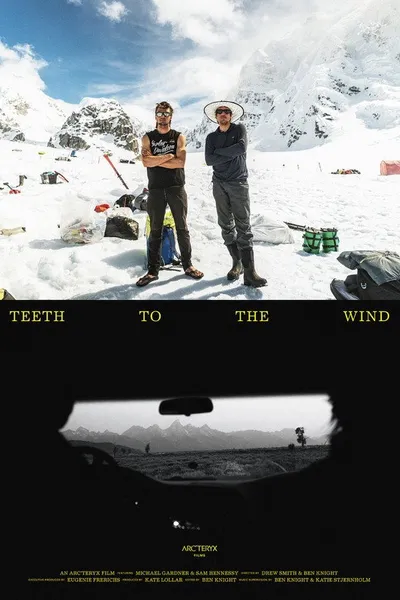 Teeth to the Wind