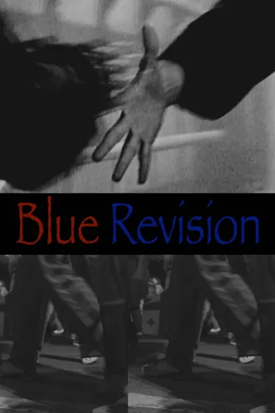 Blue Revision
