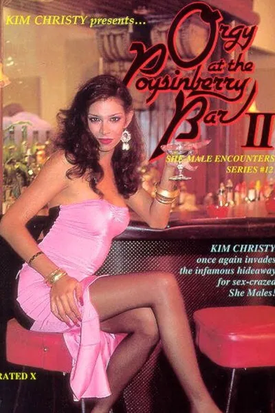 She-Male Encounters 12: Orgy at the Poysinberry Bar 2