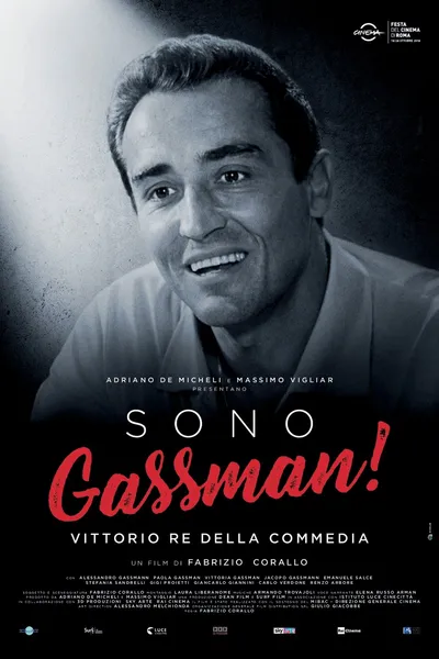 Sono Gassman! - Vittorio re della commedia