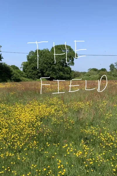 The Field