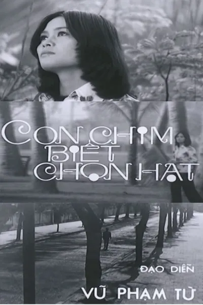 A Bird that Knows Its Way