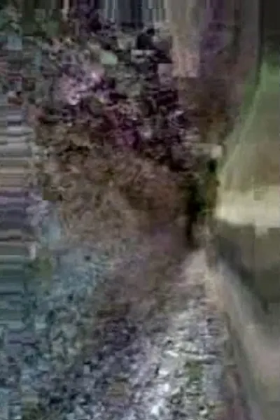 Preserving Cultural Traditions in a Period of Instability