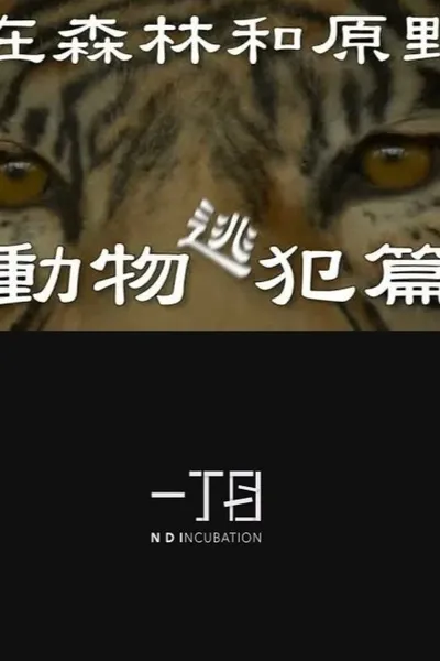 在森林和原野-動物逃犯篇