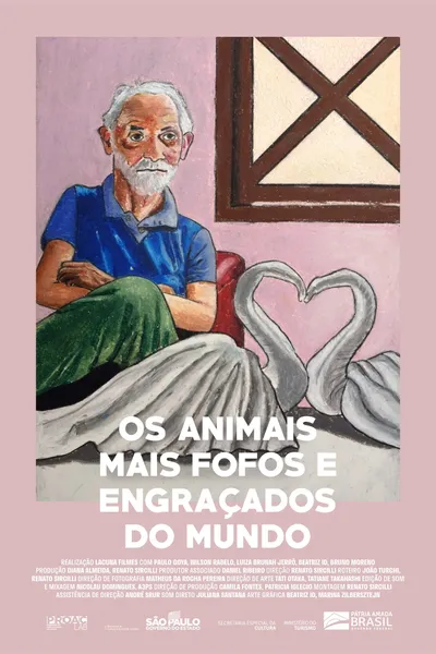 The Cutest and Funniest Animals in the World