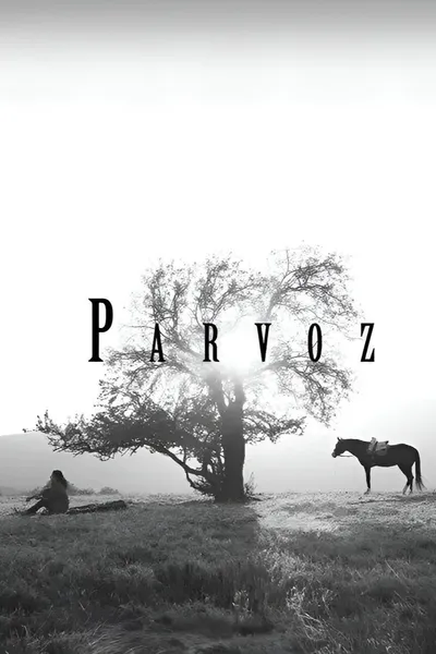 Parvoz
