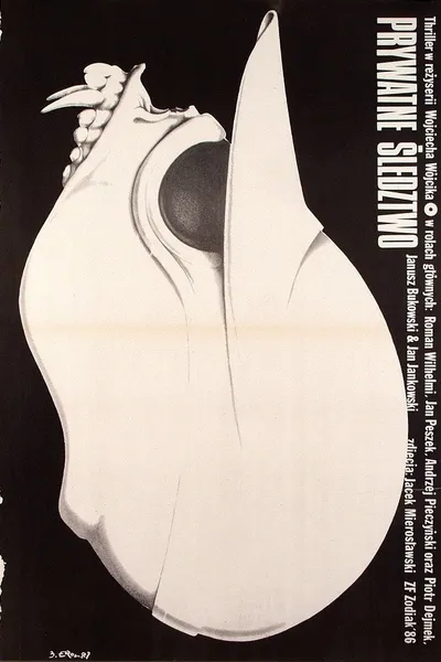 Private investigation