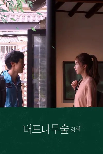 Willow Tree Forest Yangnim