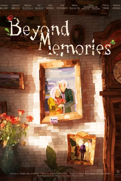 Beyond Memories