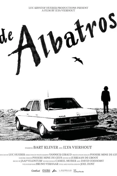 The Albatross