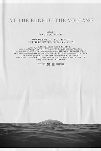 At the Edge of the Volcano