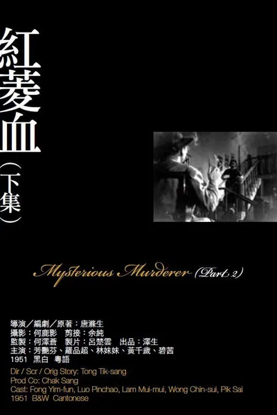 Mysterious Murder, Part 2