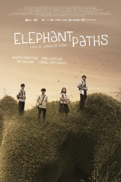 Elephant Paths