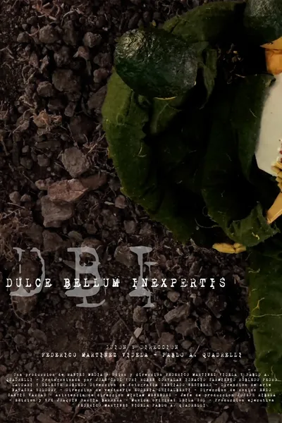 Dulce Bellum Inexpertis