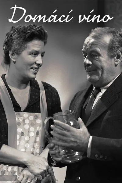 Domácí víno