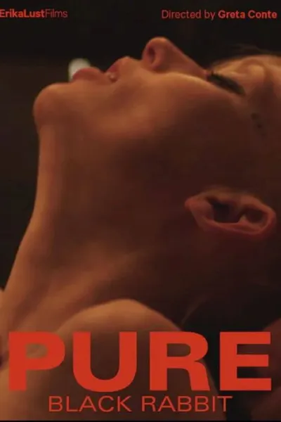 Pure - Black Rabbit