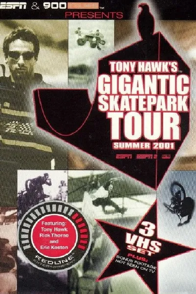 Tony Hawk's Gigantic Skatepark Tour 2001
