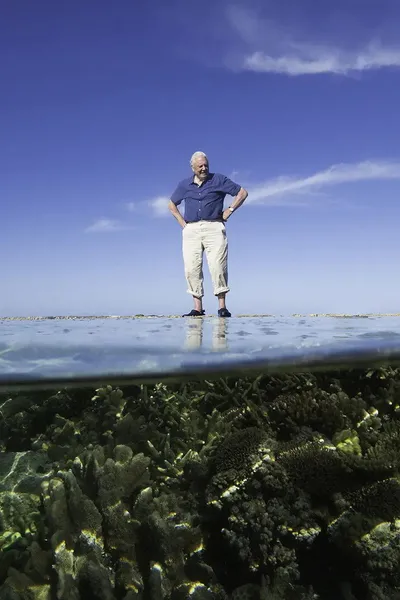 Reef Diaries