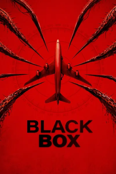 Black Box (Flight 298)