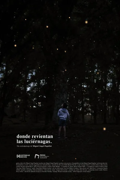 Where the fireflies burst