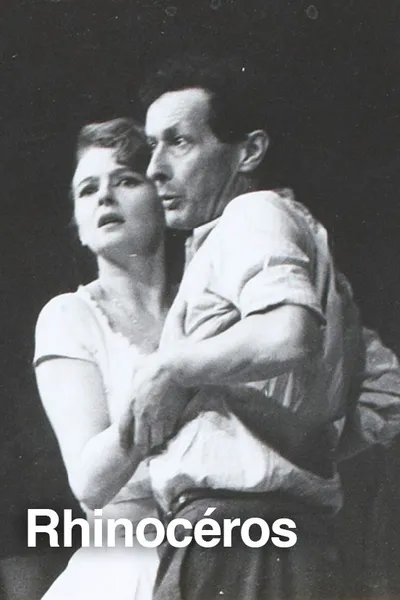 Rhinocéros