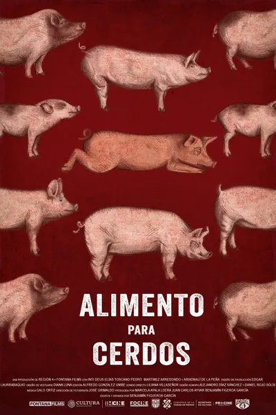 Swine Food