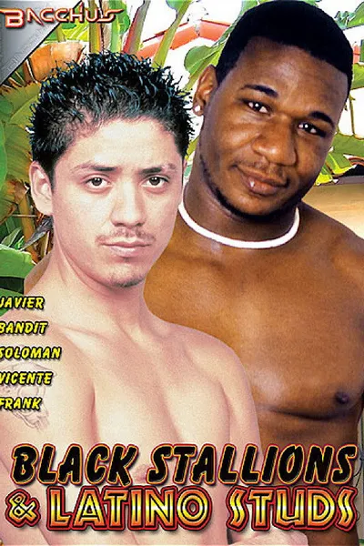 Black Stallions & Latino Studs