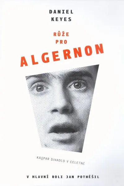 Růže pro Algernon