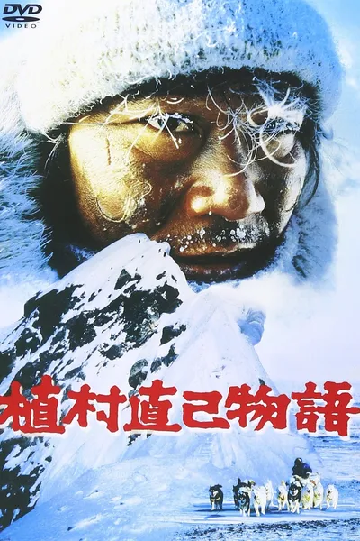 Lost in the Wilderness