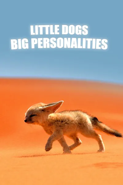 Little Dogs, Big Personalities