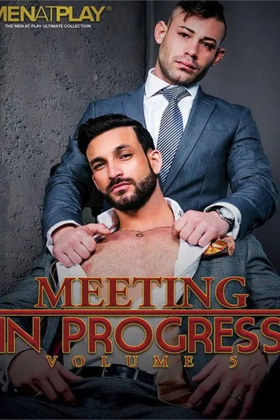 Meeting in Progress 5