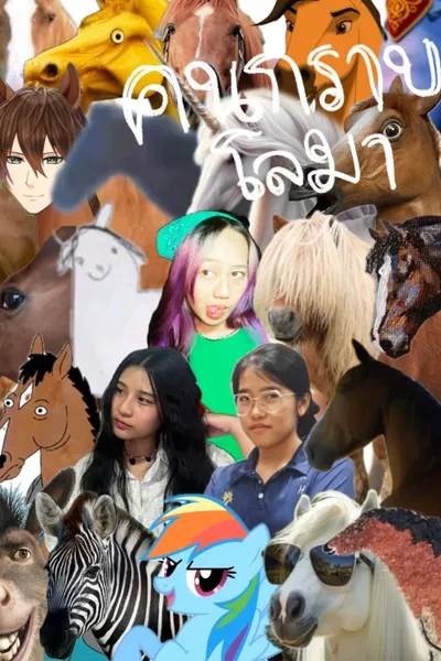 Dolphin (In a Nutshell)